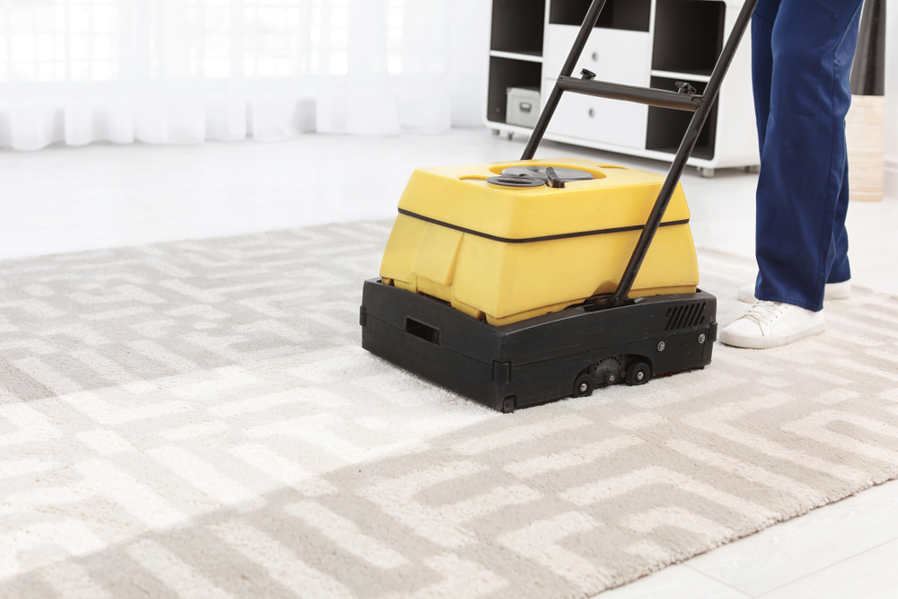 Professional cleaner conducting carpet cleaning service.